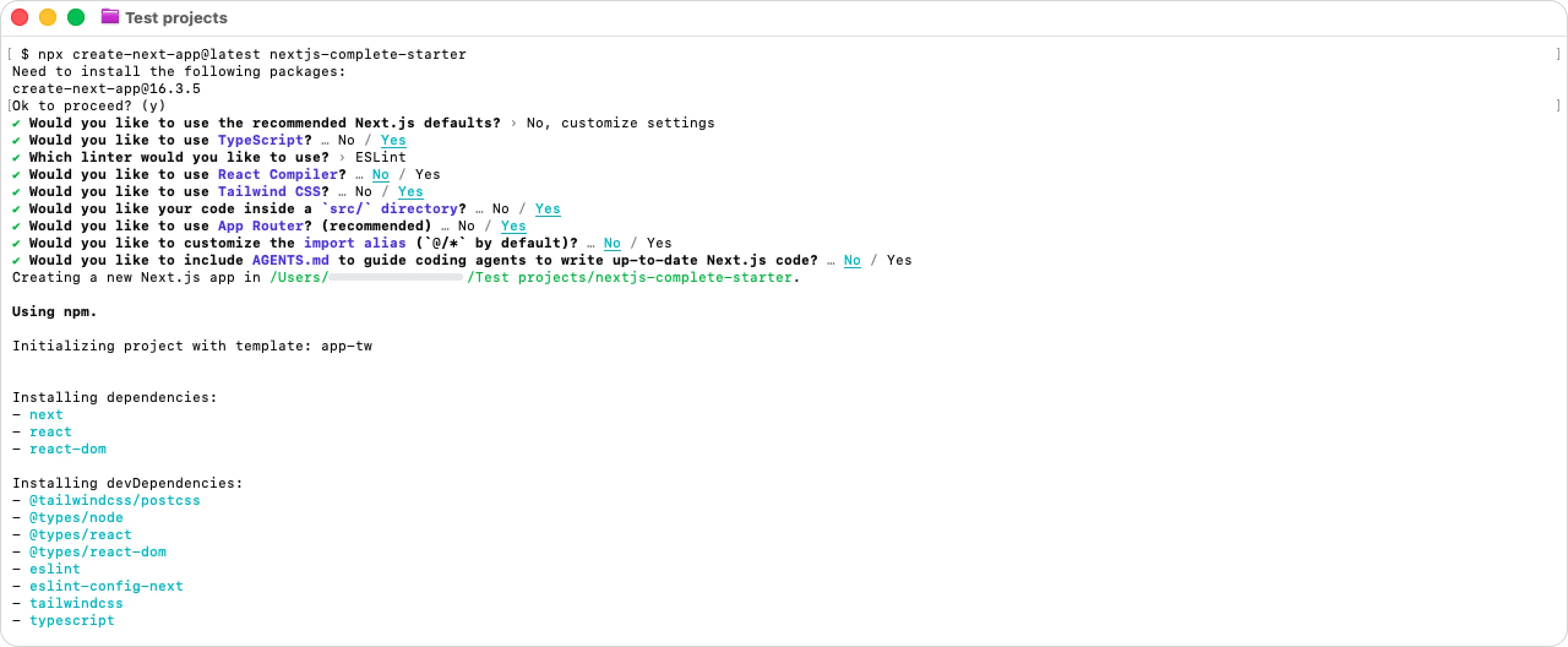 options when installing Next.js