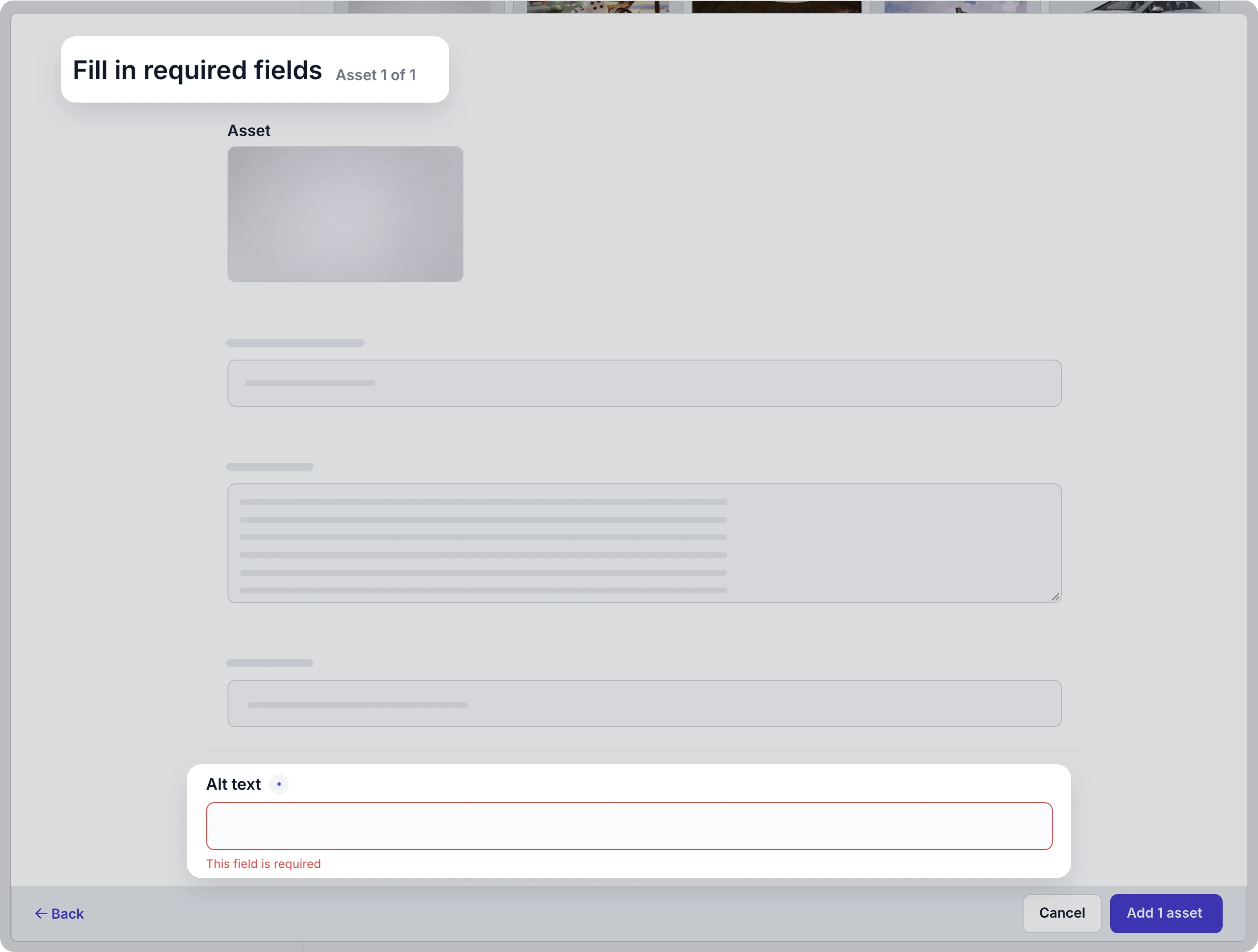 Fill required Asset text field example