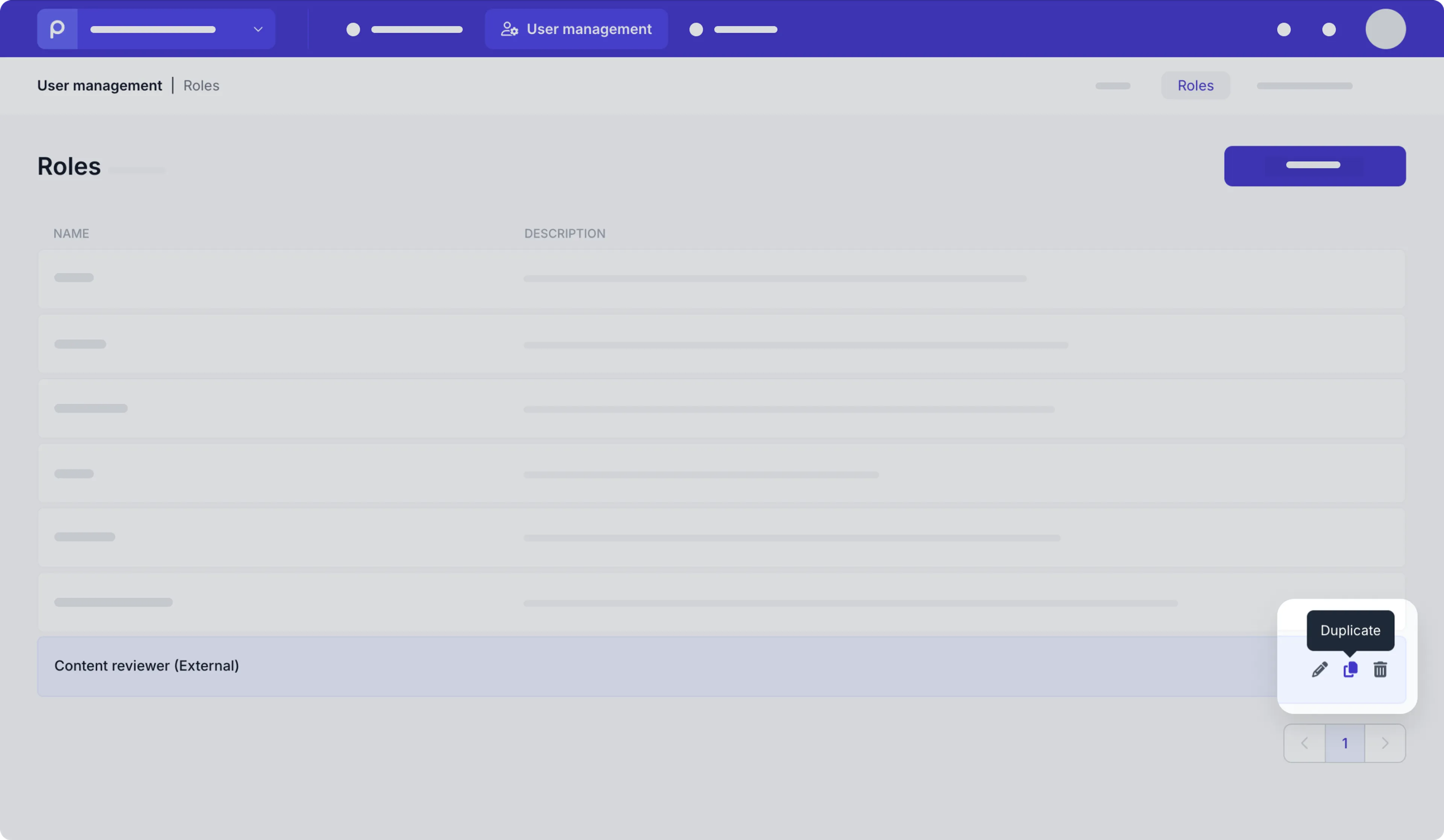 Duplicate user role example